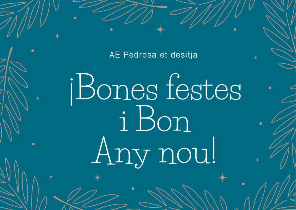 Bones Festes i Bon Any Nou
